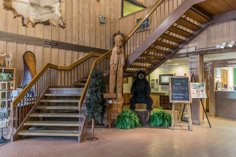 Public Area, Abe Martin Lodge & Cabins, Brown