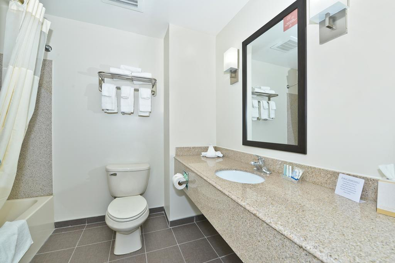 Bathroom 5, Sleep Inn & Suites Harrisburg - Hershey North, Dauphin