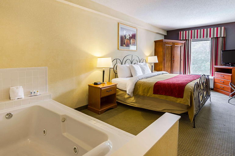 Bedroom 3, Quality Suites Altavista - Lynchburg South, Campbell
