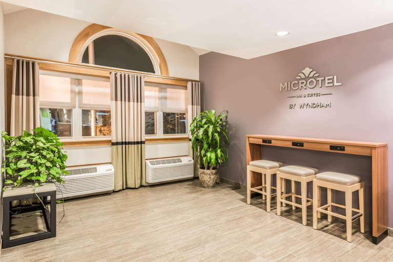 Public Area 2, Microtel Inn by Wyndham Victor/Rochester, Ontario