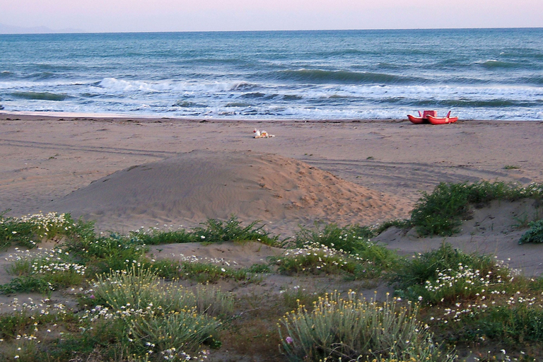 Room 2, Villino Azzurro al Mare, Grosseto