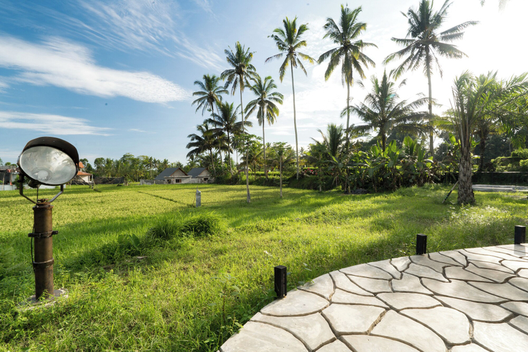 View from property 5, Ship Villa in Ubud, Gianyar