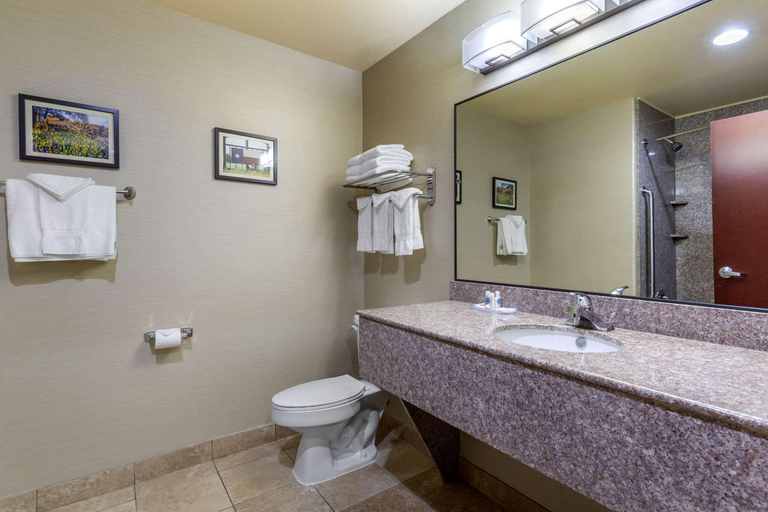 Bathroom 5, Comfort Suites Pflugerville - Austin North, Travis
