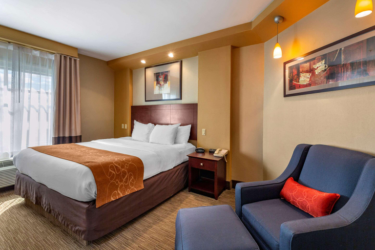 Bedroom 3, Comfort Suites Perrysburg - Toledo South, Wood