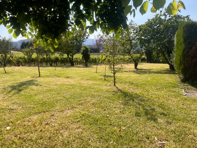 Others 5, Pazo Carballo Hotel, Ourense