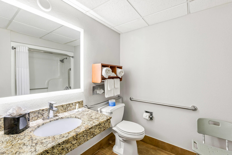 Bathroom 5, Quality Inn & Suites Richburg, Chester