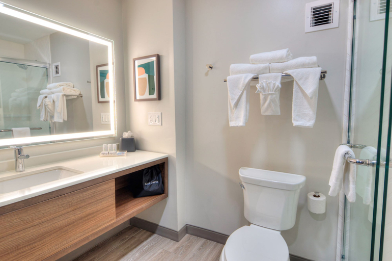 Bathroom 5, Holiday Inn GAINESVILLE-UNIVERSITY CTR by IHG, Alachua