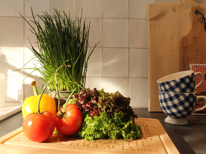 Food & Drinks 4, Holiday Home in Hindeloopen by Lake, Nijefurd