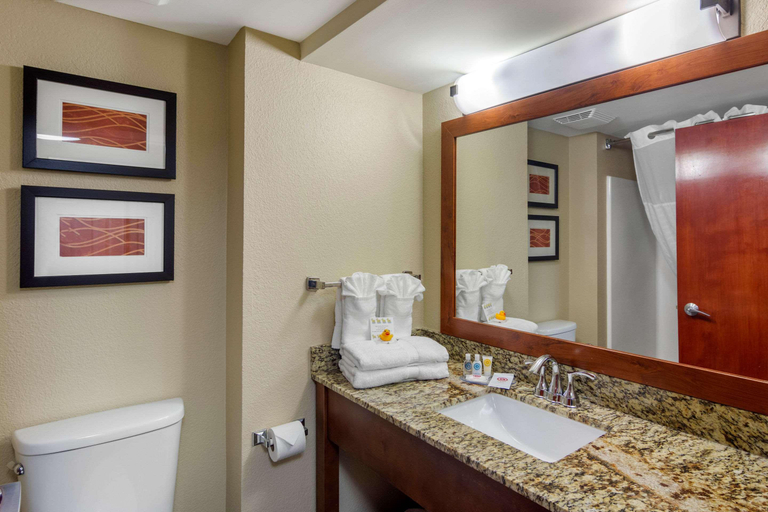 Bathroom 4, Comfort Inn & Suites LaGrange East, Troup