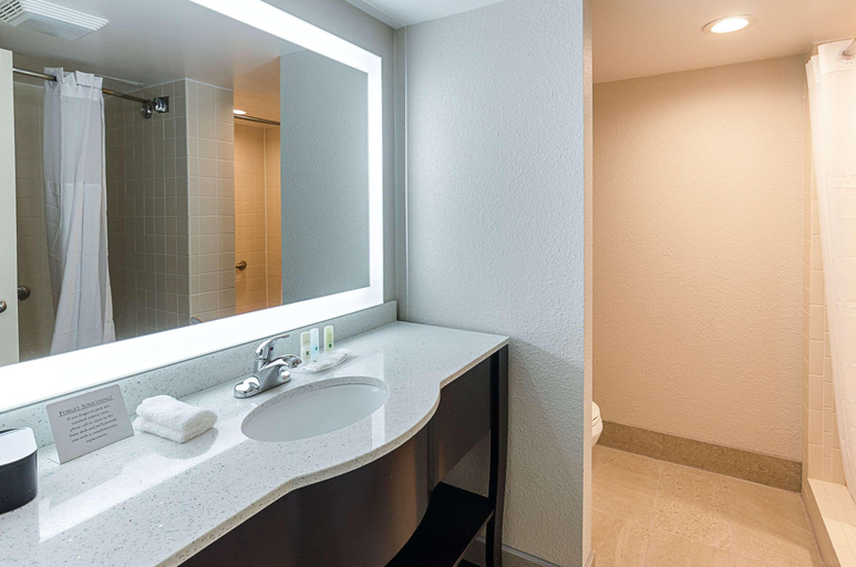 Bathroom 4, Quality Inn Tanglewood, Roanoke City