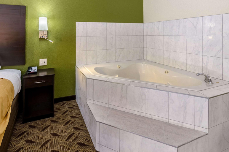 Bathroom 4, Quality Inn Tanglewood, Roanoke City