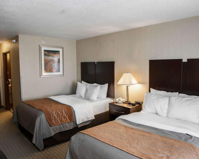 Bedroom 3, Comfort Inn & Suites Muncie Area, Delaware
