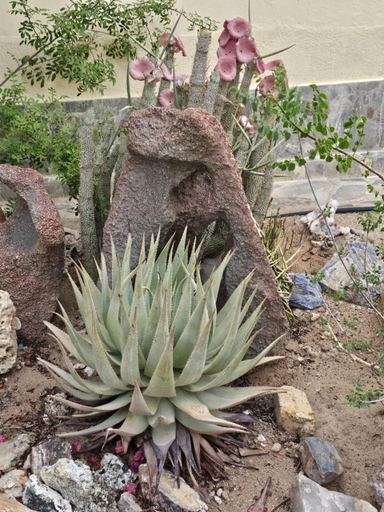 Others 4, Bahnhof Hotel Usakos, Karibib