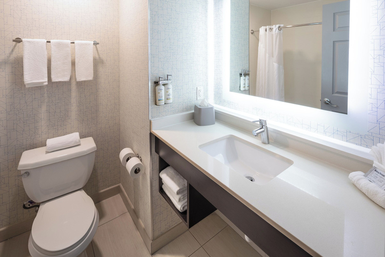 Bathroom 5, Holiday Inn Express & Suites CHICAGO WEST - ST CHARLES by IHG, Kane