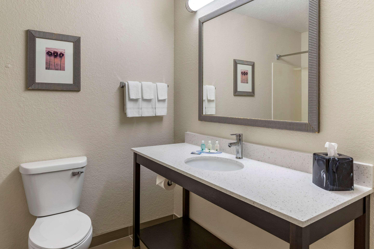 Bathroom 4, Quality Inn & Suites Bay City, Bay
