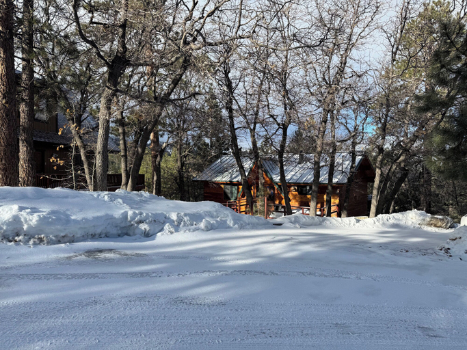 Exterior & Views 5, A Woodsy Mountain Retreat, San Bernardino