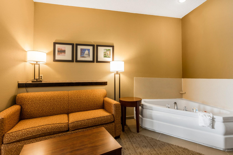 Bathroom, Comfort Suites Jonesboro University Area, Craighead
