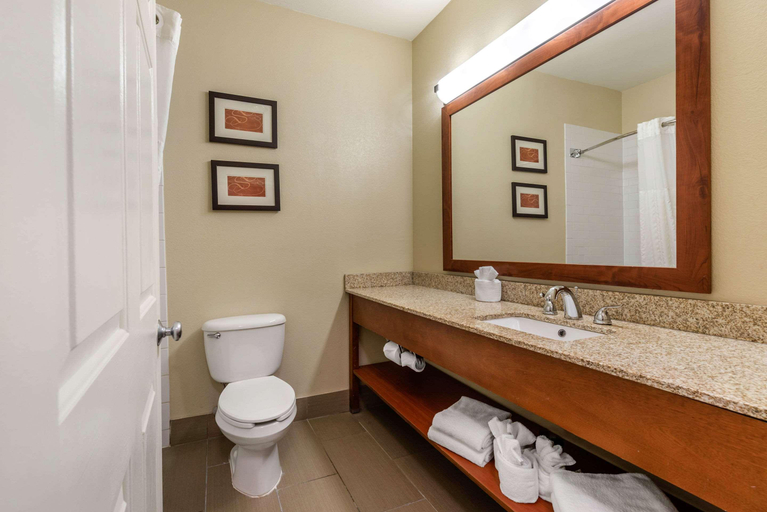 Bathroom 4, Comfort Suites Fort Collins Near University, Larimer