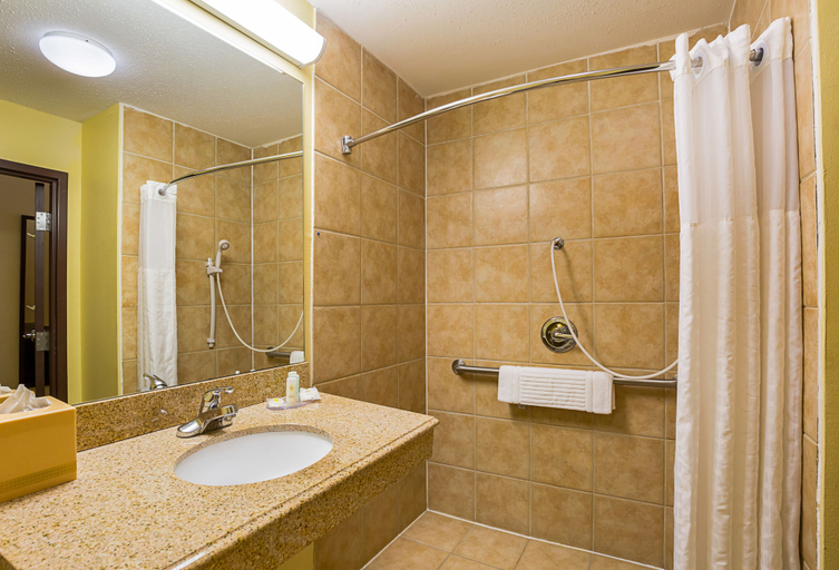 Bathroom 4, Comfort Inn & Suites Port Arthur-Port Neches, Jefferson