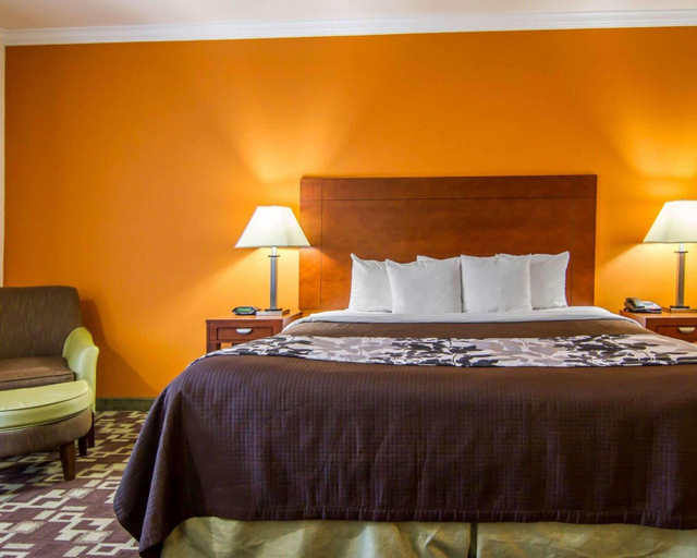 Bedroom 3, Sleep Inn & Suites I-20, Caddo
