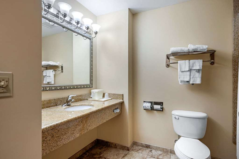 Bathroom, Quality Inn Smyrna, Kent
