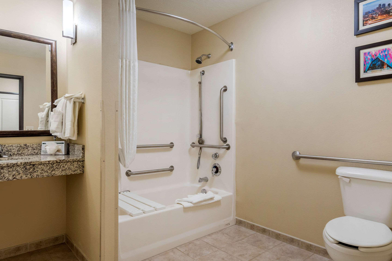 Bathroom 4, Comfort Suites Speedway, Wyandotte