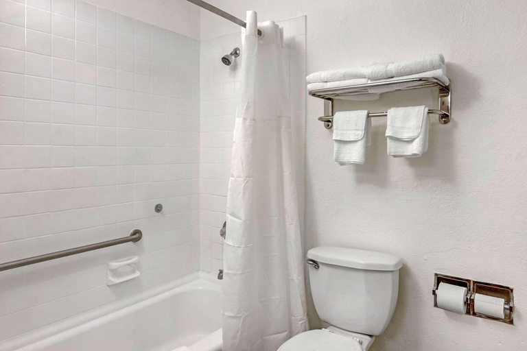 Bathroom 4, Quality Inn Ruther Glen, Caroline