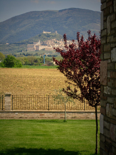 Others 4, La Strada Di Francesco D'Assisi, Perugia