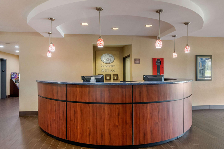 Public Area 2, Comfort Suites Speedway, Wyandotte