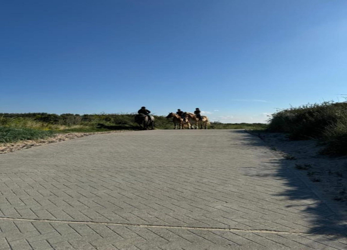 View from property 5, Luxury Villa, 2 Baths, nr Beach, Veere