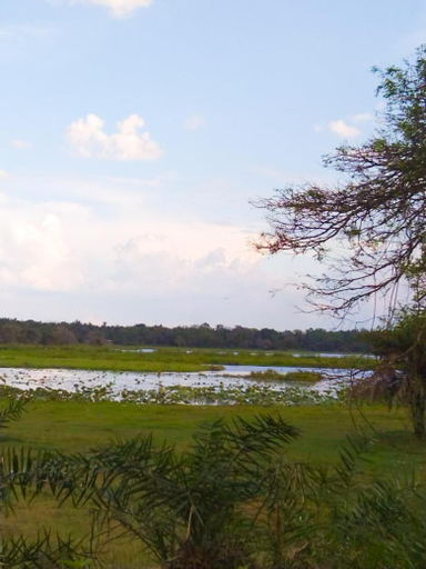 Others 3, Lake Side Resort, Kekirawa