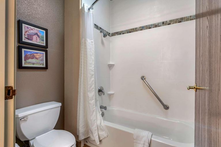 Bathroom 4, Comfort Inn & Suites - Fruita, Mesa