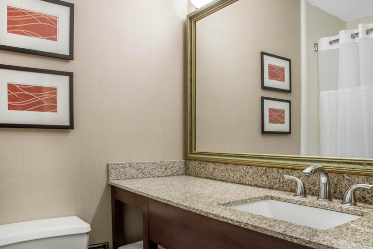 Bathroom 4, Comfort Inn Lancaster County North, Lancaster
