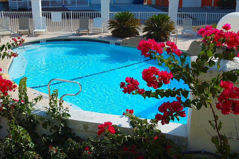 Sport & Beauty, Sol Searcher by Silver Sands Vacation Rentals, Nueces