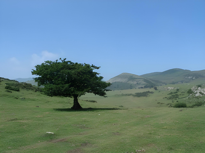 View 5, La Posta Del Camv N Real, Asturias