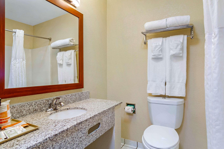 Bathroom 4, Comfort Inn Greeley, Weld
