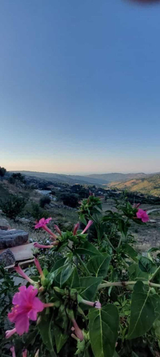 Others 3, Agriturismo Dispenza, Palermo