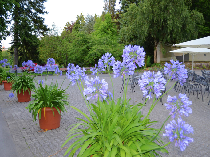 Others 5, Geraumiges Ferienhaus im Kellerwal mit Terrasse, Waldeck-Frankenberg