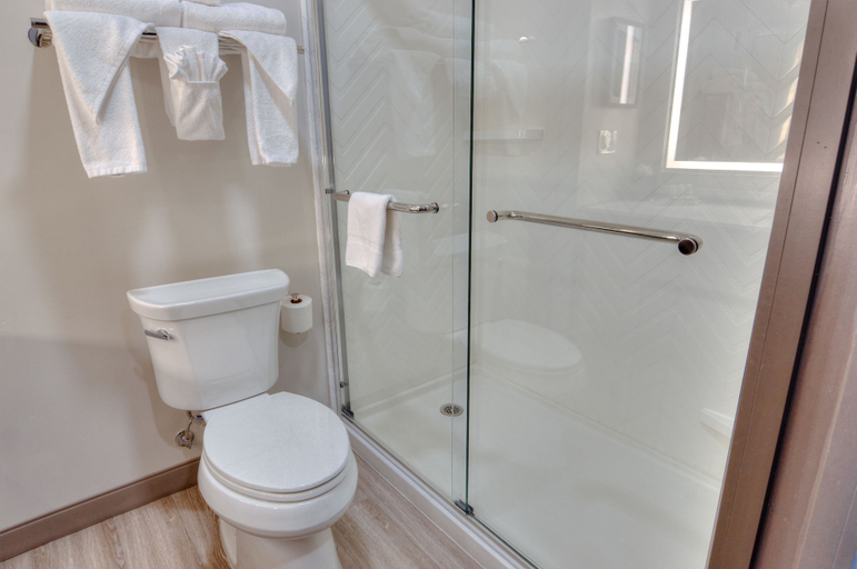 Bathroom 5, Holiday Inn GAINESVILLE-UNIVERSITY CTR by IHG, Alachua