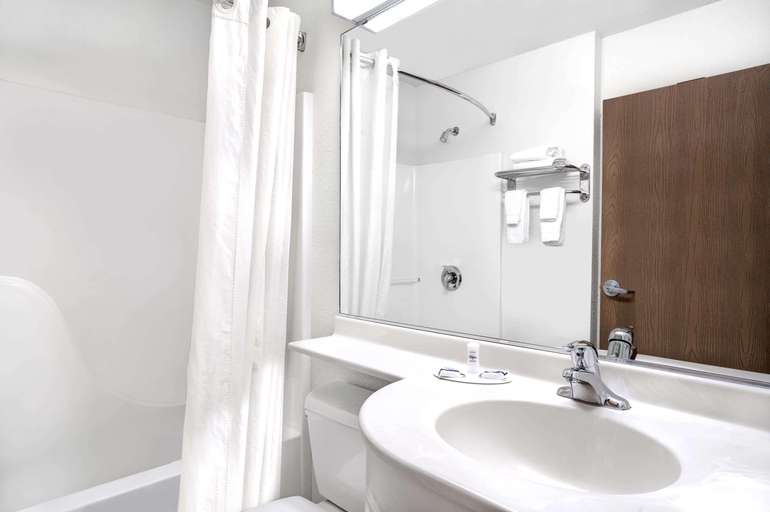 Bathroom 4, Microtel Inn & Suites By Wyndham Mankato, Blue Earth