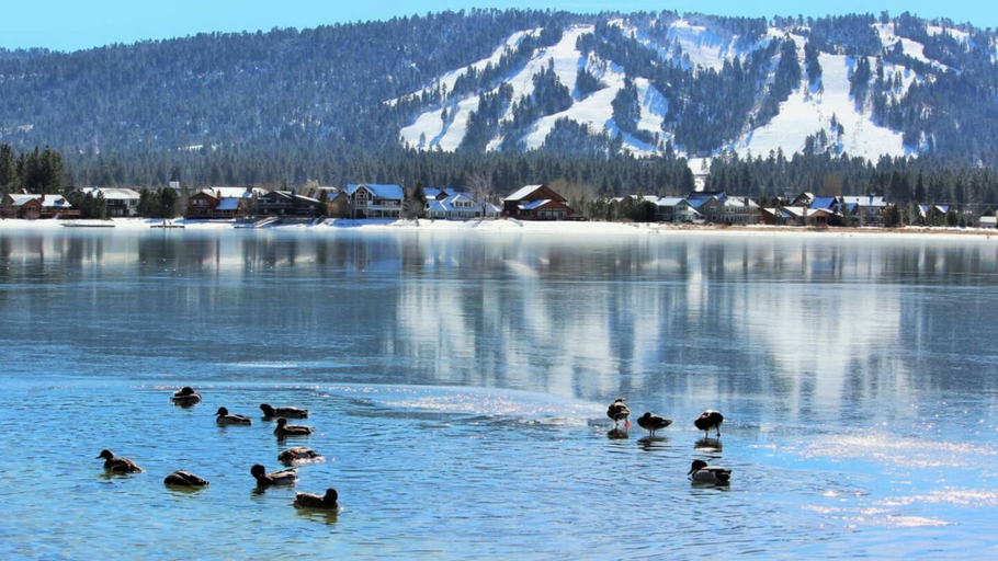 Others 5, Lakeside Oasis, San Bernardino