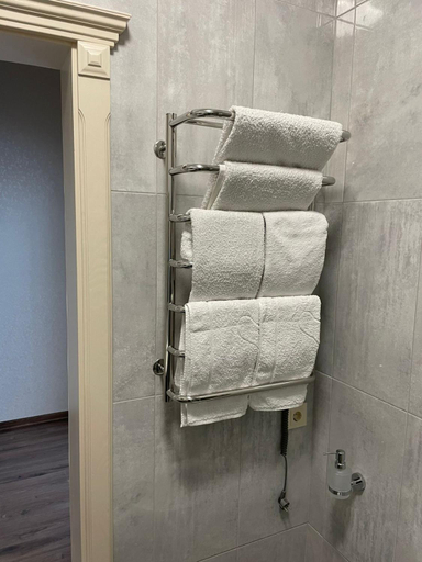 Bathroom 3, Dvir Litynskyi, Lityns'kyi