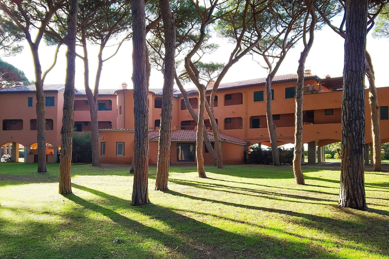 Room 2, Appartamento Germoglio Sulla Spiaggia, Grosseto