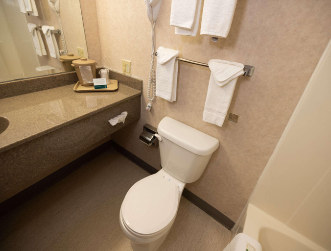 Bathroom 4, Quality Inn Rosebud Casino, Todd