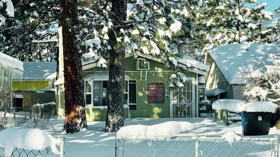 Exterior & Views 2, A Beary Cute Cabin, San Bernardino