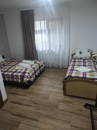 Bedroom 2, Casa Reginei, Cartisoara