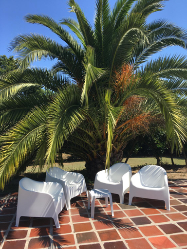 Food & Drinks 5, The Hideaway at Quinta de Mocamedes - Suites & Apartments, Vouzela
