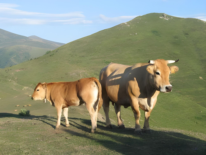 View 3, La Posta Del Camv N Real, Asturias