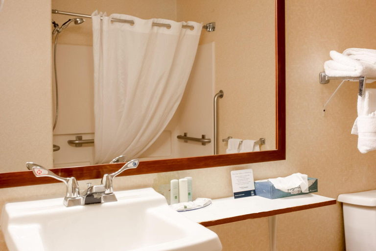 Bathroom 4, Quality Inn Delta, Delta
