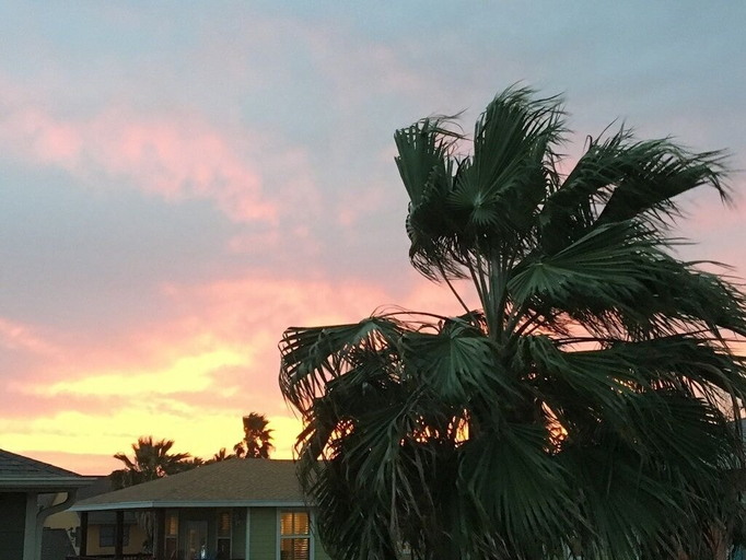 Exterior & Views 2, Cake by the Ocean by Silver Sands Vacation Rentals, Nueces